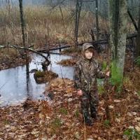 fall beaver