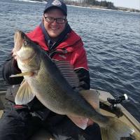 Giant Rainy River Walleye