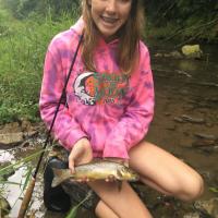 Northeast Iowa Trout