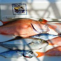 Nice day saltwater fishing