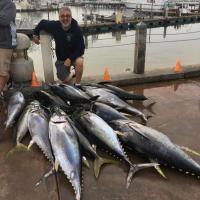 Tons of Tuna!