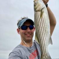 Striper "Big Schoolie"