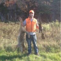 Coyote hunt