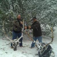 Elk Hunting image