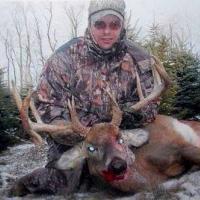 Deer