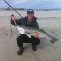Danny's Striper Bass