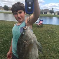 4.5 lb Tilapia in our yard!
