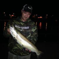 Lake Superior Brown Trout