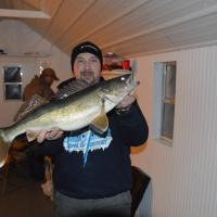 Sleeper Shack Walleye