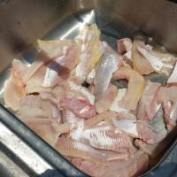 Nice size fish fillets