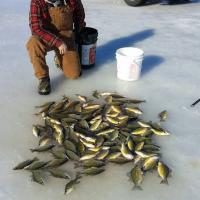 Good Catch on the Ice