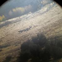 Scouting the land 5