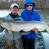 New Tennessee State Record