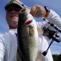 Big Bass