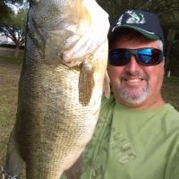 Bass