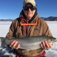 Trout on Ice