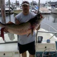 Stripper Bass
