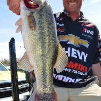 1St Place FLW