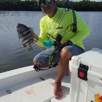 Bow fishing Sheepshead with Captain Ike