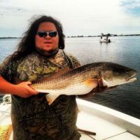 Bass