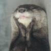 Profile picture for user Smokey391