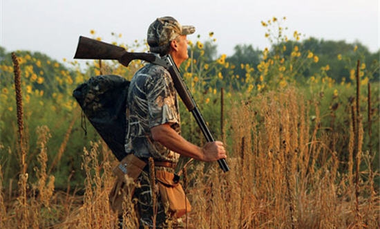 Shotgun and Gear Choices for Dove Hunting