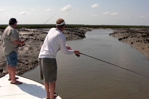 Essential Gear to Get Started Pier Fishing