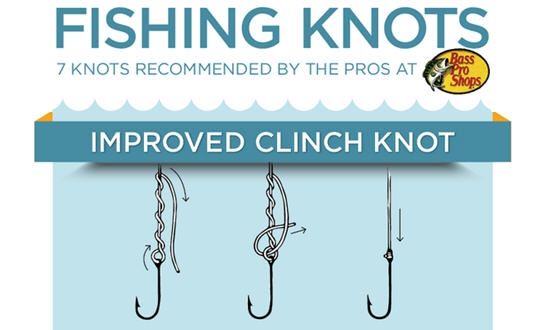 Fishing Knots: The Professional Fishing Guide (infographic)