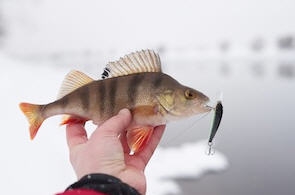 How I Get My Fishing Fix During the Wintertime