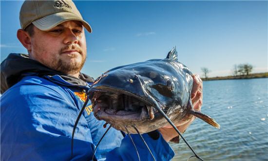 How, Where to Catch Big, Bad Blue Catfish - Game & Fish