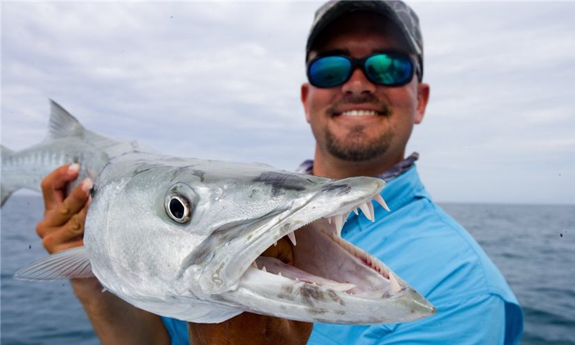 The Best Barracuda Fishing Tackle & Tactics for a Winter Angling Getaway  (video)