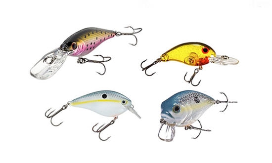 How To Bait Fish For Trout - A Buyer's Guide