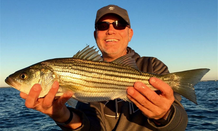 Striped Bass Fishing: Simple Techniques for a Great Catch