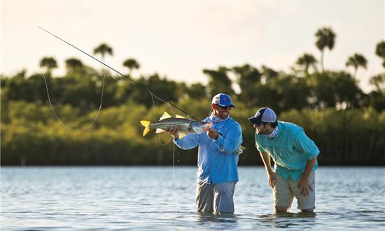 Catch Inshore Fish With One of These Inshore Fly Rods