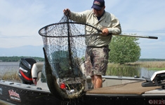 apt net fishing The Pro Series Net