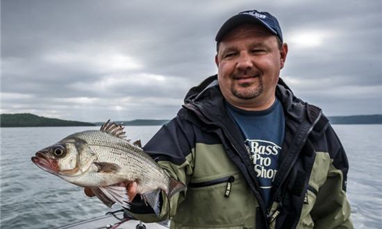 Fishing The White Bass Spawn: How To Catch And Cook One Of
