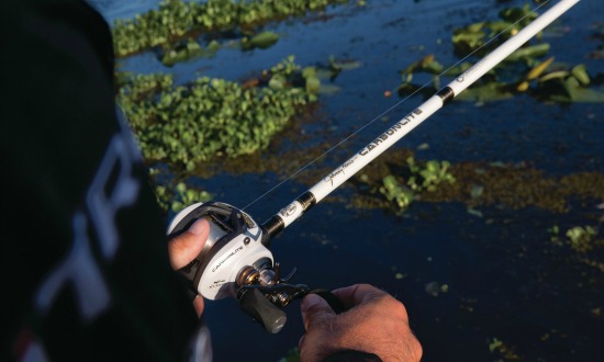 Top 5 Fishing Rods Every Bass Angler Needs To Have