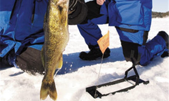 Ice Fishing Tip Down -  Canada