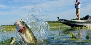 Spring Fishing: Edwin Evers 5 Tips for April Bass