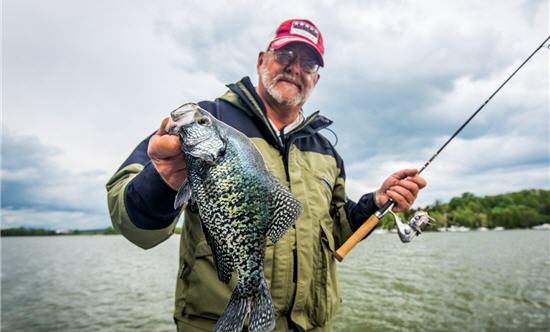 Bait dynamics for crappie