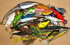 Fishing and the Color Game | Bass Pro Shops