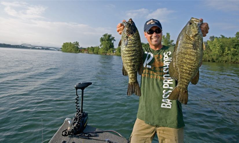 4 Plastic Worm Rigs for Bass That You Should Know (infographic