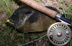 best vintage fly reel Raprance Classic Fishing Green 3.5