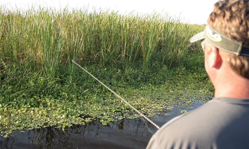 Fishing Where the Big Fish Live: Tips to Fish Matted Grass With JT Kenney  (video)