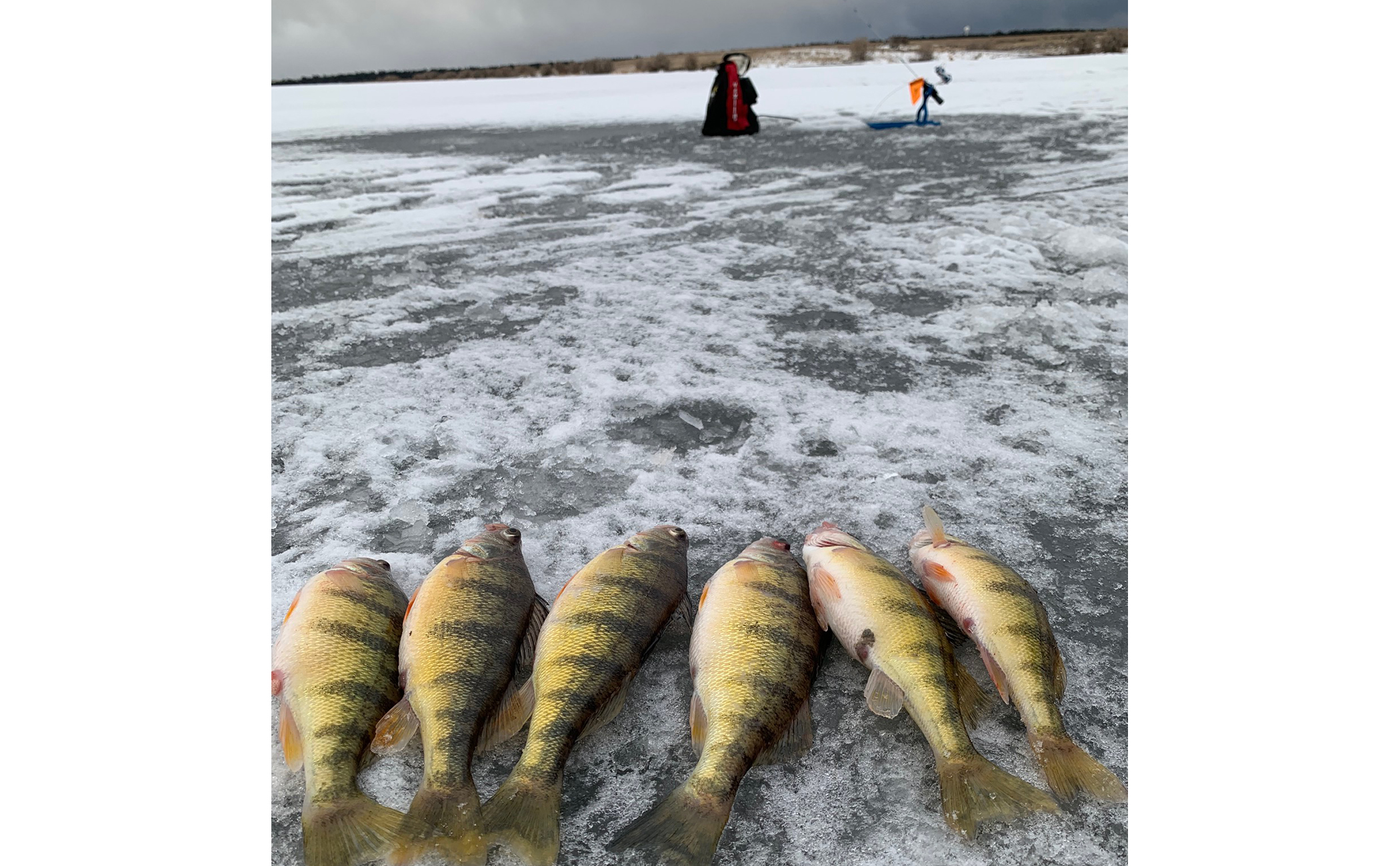 What is a “Tip Up” in Ice Fishing? (A simple answer with pictures