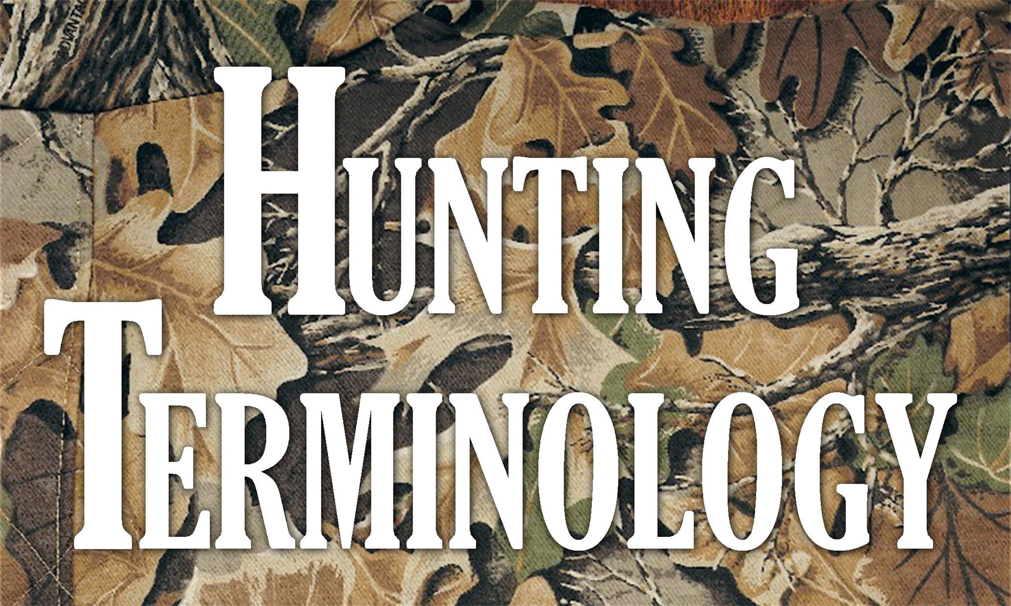 Hunting Terminology