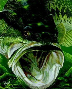 Apex Lizard lure, Smallmouth & Largemouth Bass