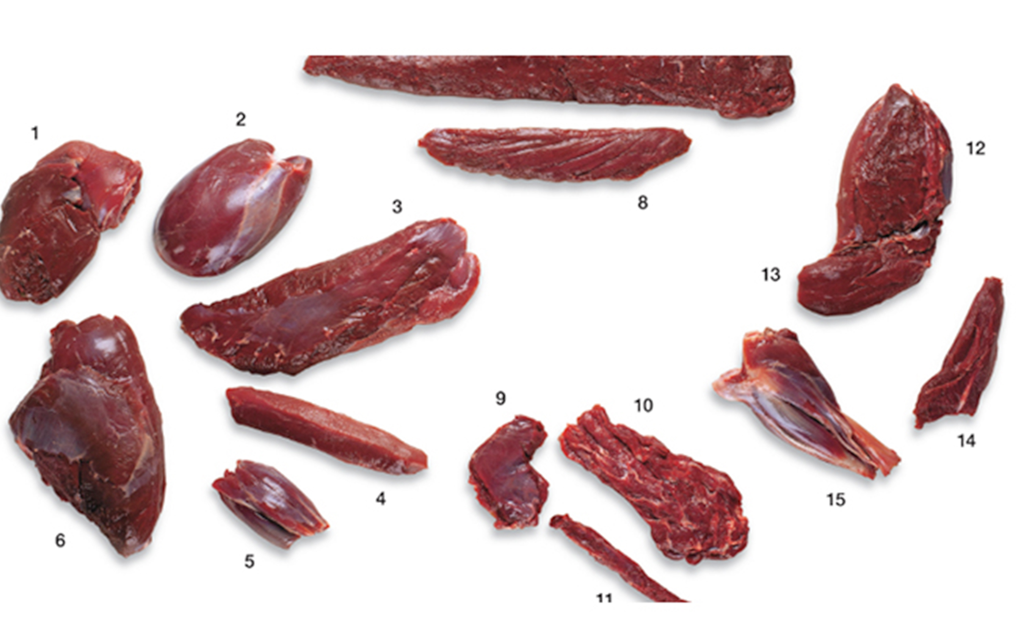 Choice Cuts Of Venison Meat