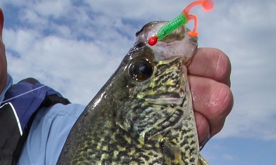 Crappie Fishing: Pattern Crappie in the Cabage