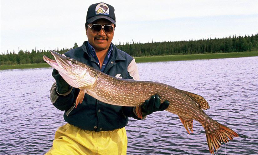 A Primer on Pike—Lures and Tactics for Catching Northern Pike